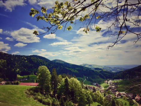 Impressionen