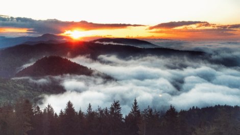 Impressionen