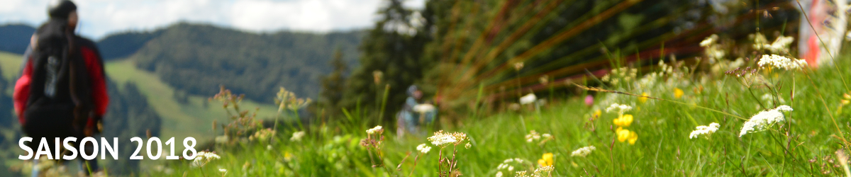 Gleitschirmfliegen im Frühling